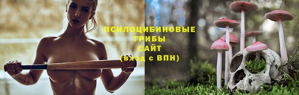 не бодяженный Белокуриха