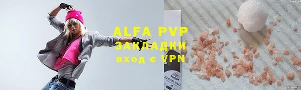 индика Балахна