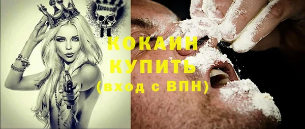 индика Балахна